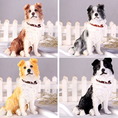 Jjm border collie cute pet - border,