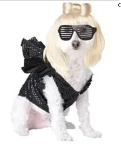 Costume cane pop sensation - cane,