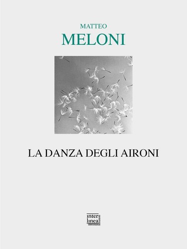 Libri meloni matteo la danza - meloni,