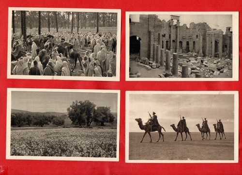 Istituto coloniale fascista - coloniale,