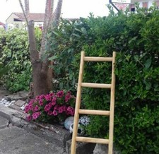 Scala a pioli in legno