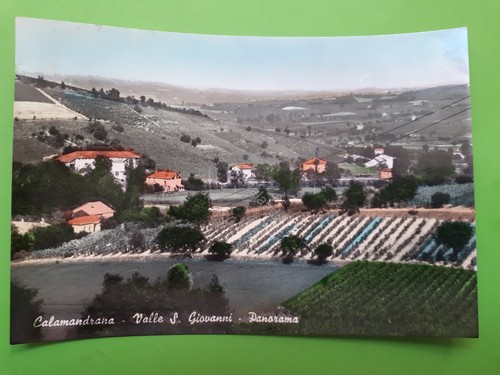Cartolina calamandrana - -,