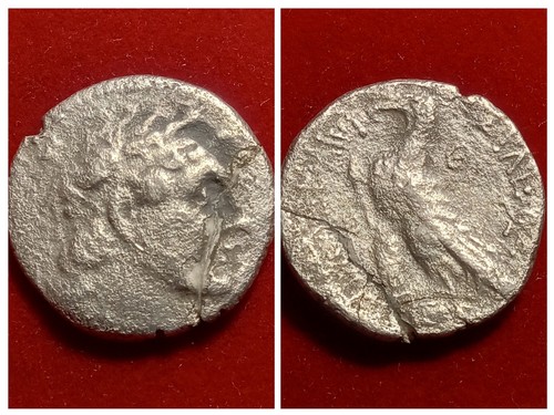 Tolemaici tolomeo vi - re,