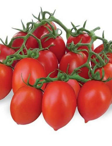 Semi seeds pomodoro - semi,