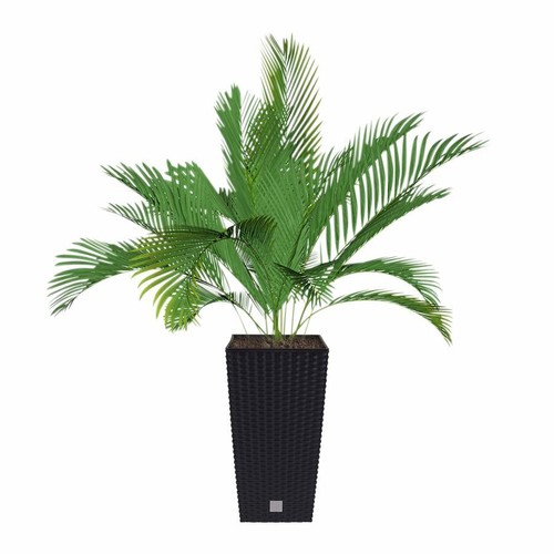 Vaso fiori polyrattan - da,