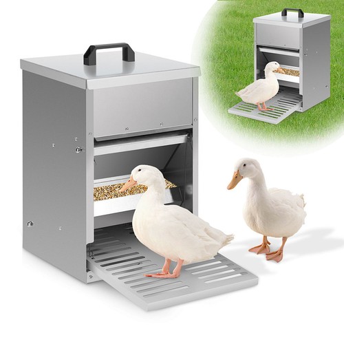 Mangiatoia automatica per