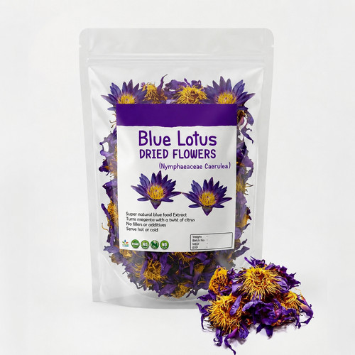 Ceylon secco blu loto nymphaea - ceylon,