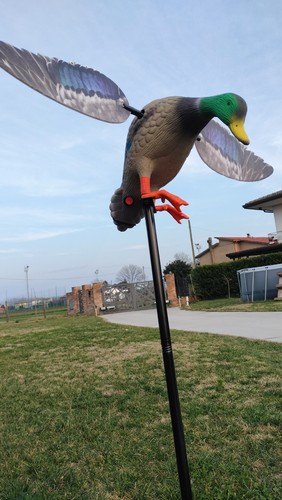 Stampo anatra decoy ali - stampo,