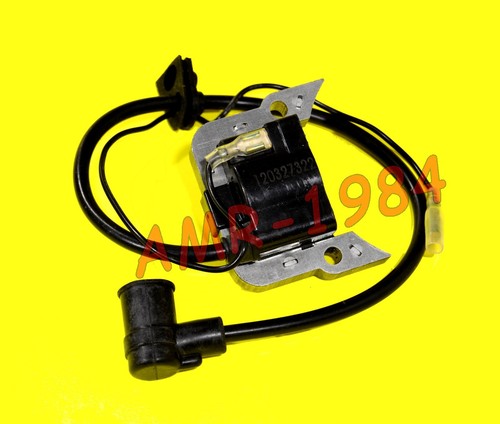 Bobina elettronica malaguti - elettronica,