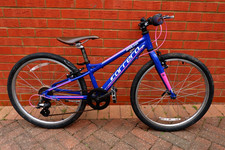 Mountain bike ibrida Carrera