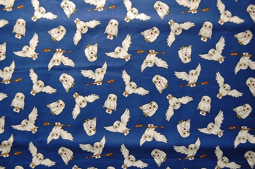 Harry potter hepwig gufo - harry, con