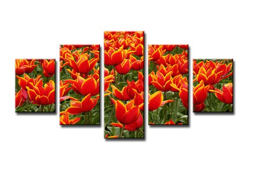 Quadro tela 160x80 5pz - su,