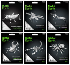 SET 6 Fascinazioni Metallo