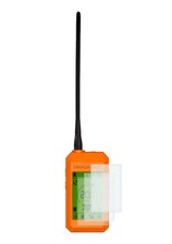 Pellicola protettiva palmare