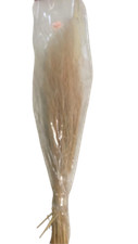 Stipa pennata 30/50cm salmone