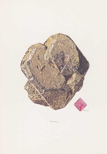 Rosso spinello gemma stampa - stampa, a