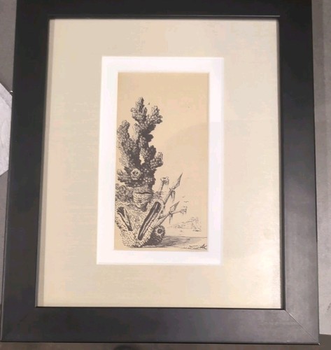 Salvador dali 1948 litografia - salvador,