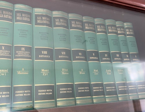 Enciclopedia nel mondo della - enciclopedia,