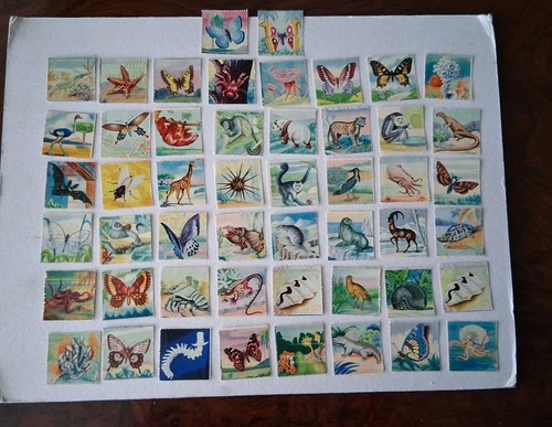 Lotto figurine animali - 50,