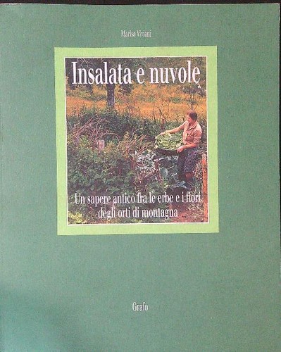 Insalata nuvole viviani - insalata,