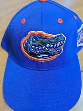 Florida Gators 2009 BCS