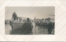 1912c guerra libia trasporto - libia,
