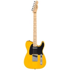 Fender Standard Telecaster MN