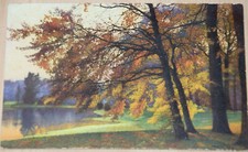 37878 Photochromia AK 3237