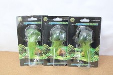 Pianta naturale per acquario - , 6