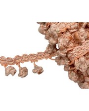 Passamaneria tappezzeria