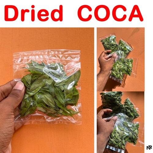 300 foglie coca - foglie,