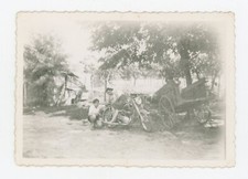 PHOTO amateur photographie