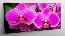 QUADRO MODERNO STAMPA SU TELA QUADRI MODERNI FIORI ORCHIEDEA FUXIA FIORE T328