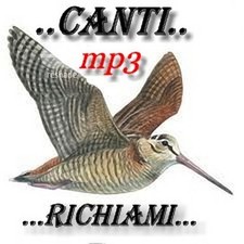 RICHIAMI PER UCCELLI IN MP3  da 2,51 GB PER RICHIAMO ELETTRONICO !!! 