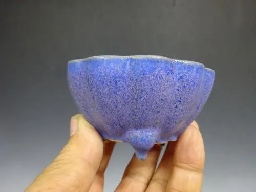 Vaso per bonsai - , giapponese