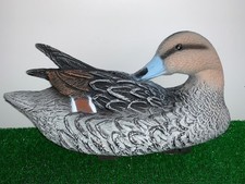 Codone uccello femmina in