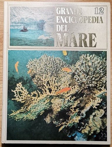 Libro grande enciclopedia del - libro,