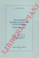 FENAROLI L. - Una stazione di