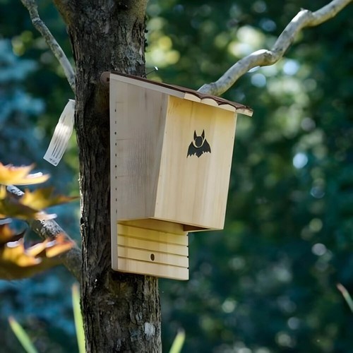 Grande bat box legno - grande,