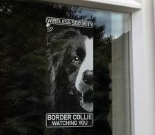 Adesivo Border Collie