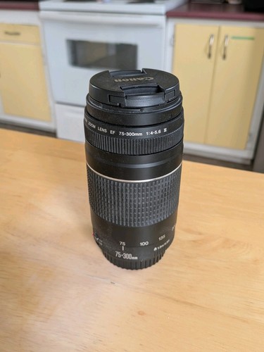 Canon 300mm 5 6 iii - canon, ef