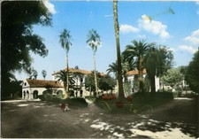 LICOLA NAPOLI Centro