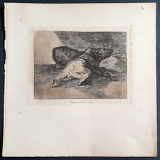 Stampa antica 1921 francisco