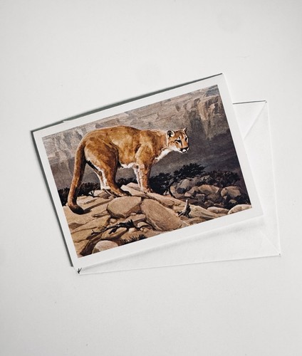 Raro dipinto olio cougar - dipinto, "cougar"