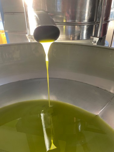 Olio extravergine oliva - olio,