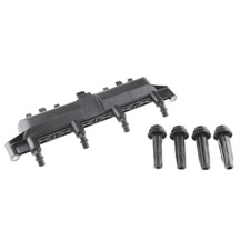 Bobina Accensione Citroen C2