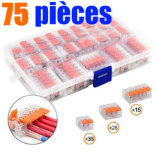 Borne Domino Wago Connexion