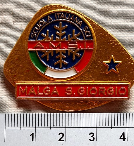 Spilla pubblicitaria scuola - spilla,