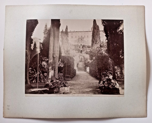 12457 foto alinari - foto, all'