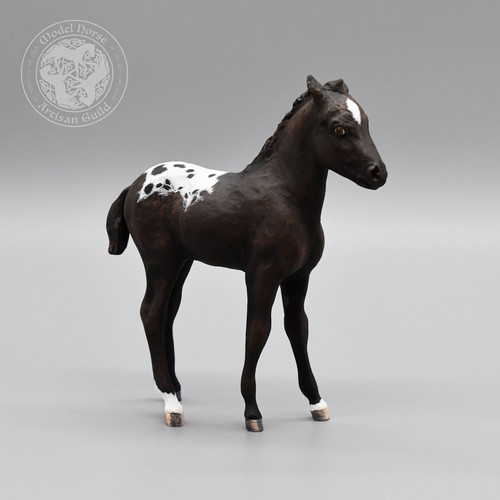 Puledro pony castagno nero - puledro,